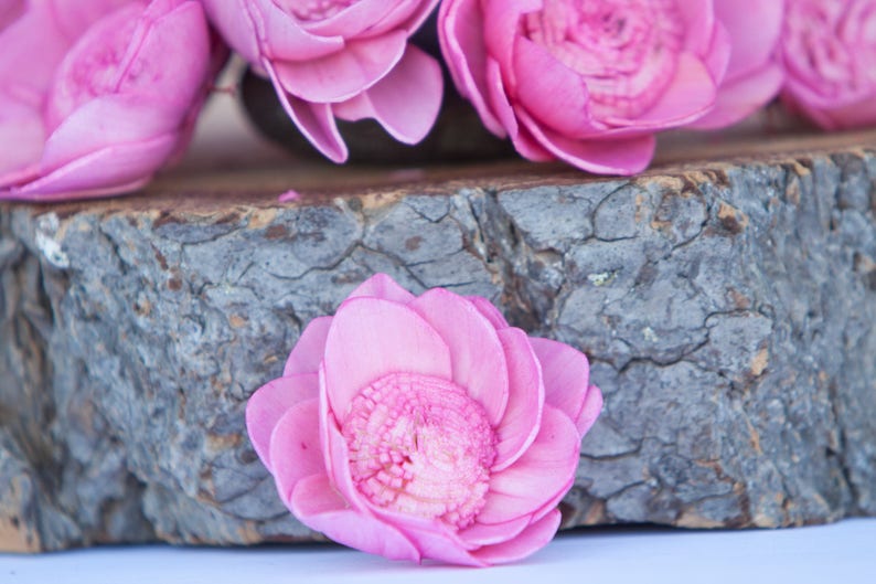 Camelia Sola Hot Pink Camellia Sola Flowers- SET OF 10 Hot Pink Sola Flowers Wedding DIY Crafting Flowers Wood Sola Flowers