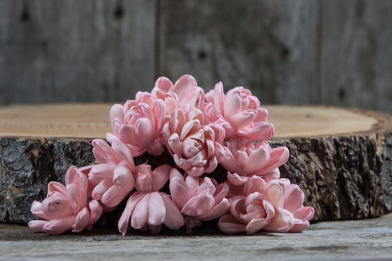 Blush Pink Solar Sola Flowers - Set of 60