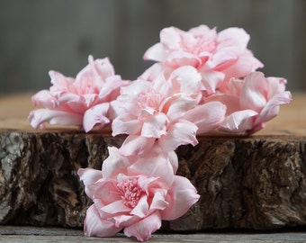 Blush Pink Old Garden Rose Sola Flowers - Set of 5 , Sola Flowers, Wood Sola Flowers, Balsa Wood Flowers, Craft Flowers, sola wood flowers