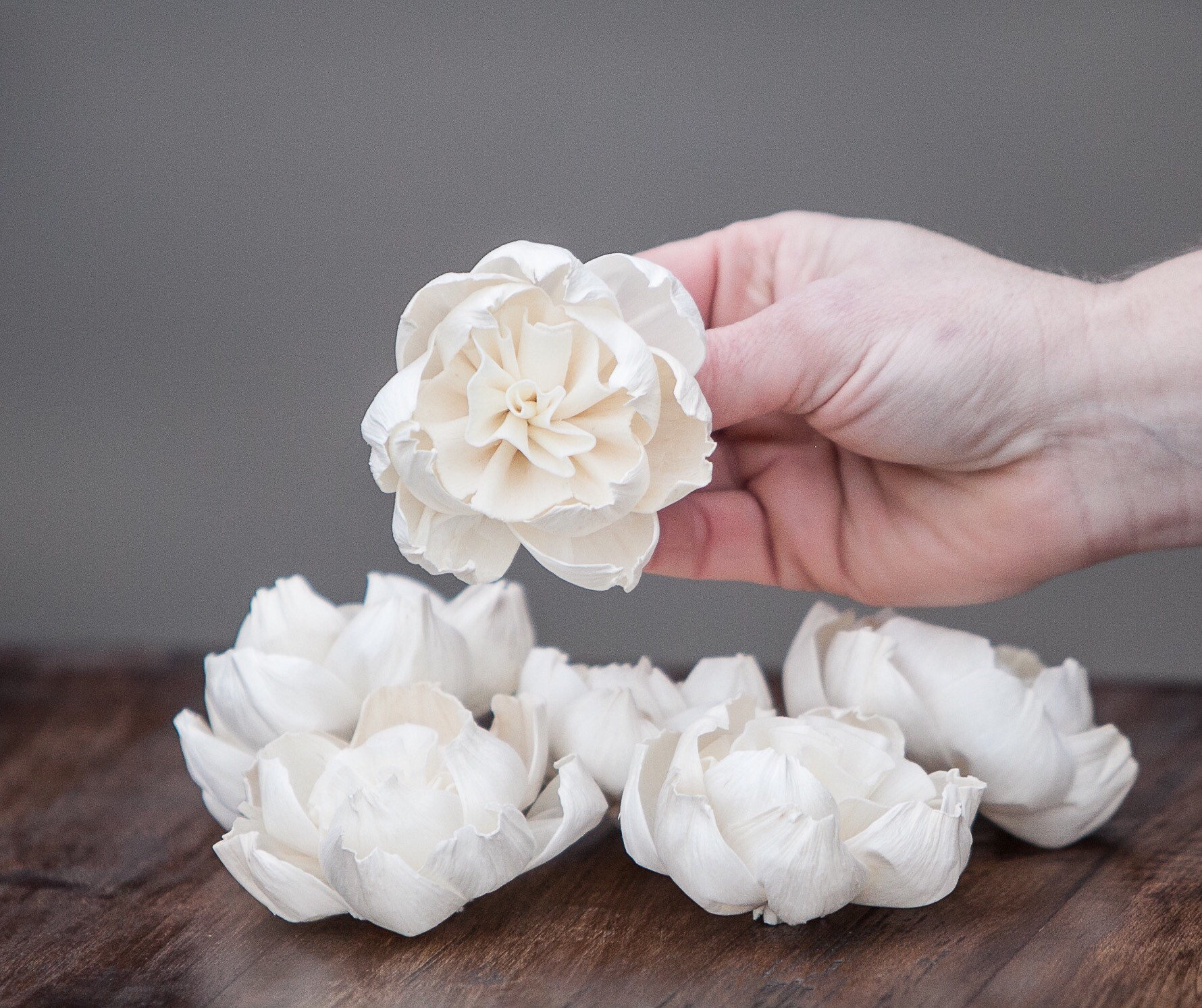 Premium Carnation Sola Flowers Set of 5 , Sola Flowers, Wood Sola