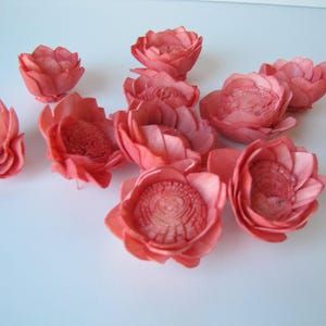 Watermelon Camellia Sola Flowers SET OF 10 , Sola Flowers, Wood Sola Flowers, Camelia Sola, Wedding DIY, Crafting Flowers image 4