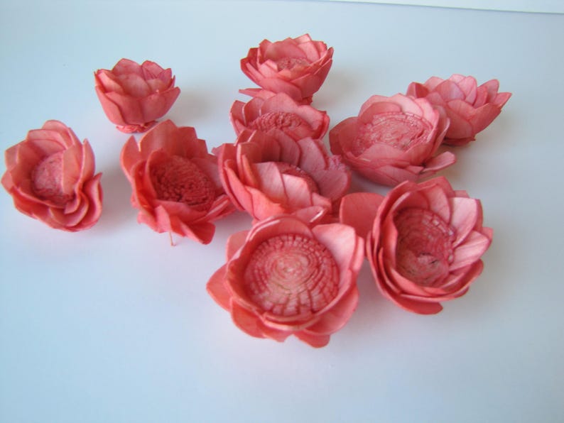 Watermelon Camellia Sola Flowers SET OF 10 , Sola Flowers, Wood Sola Flowers, Camelia Sola, Wedding DIY, Crafting Flowers image 4