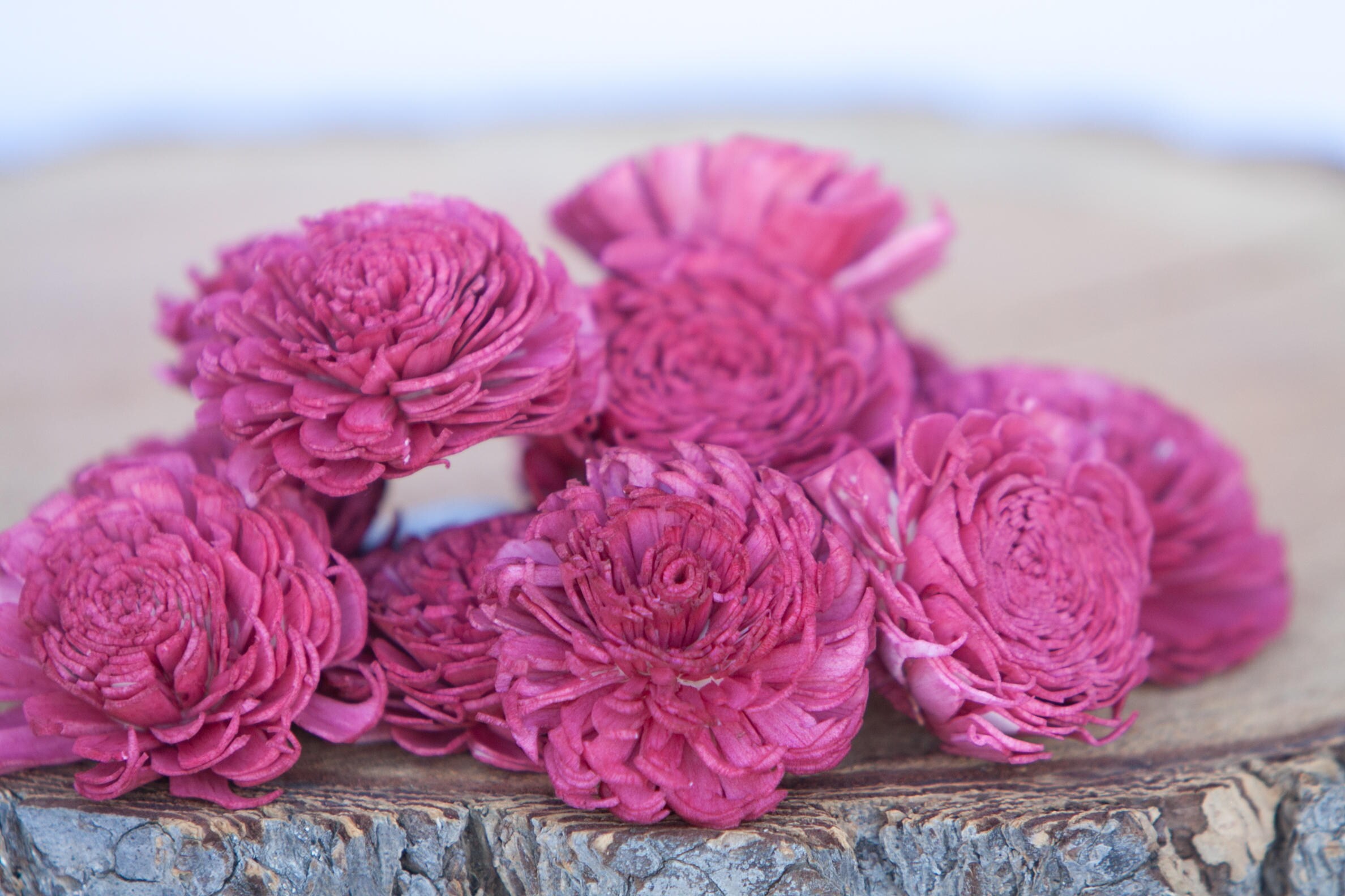 Red Chorki Sola Flowers - SET OF 10 , Chorki, Sola, Wood Sola Flowers ...