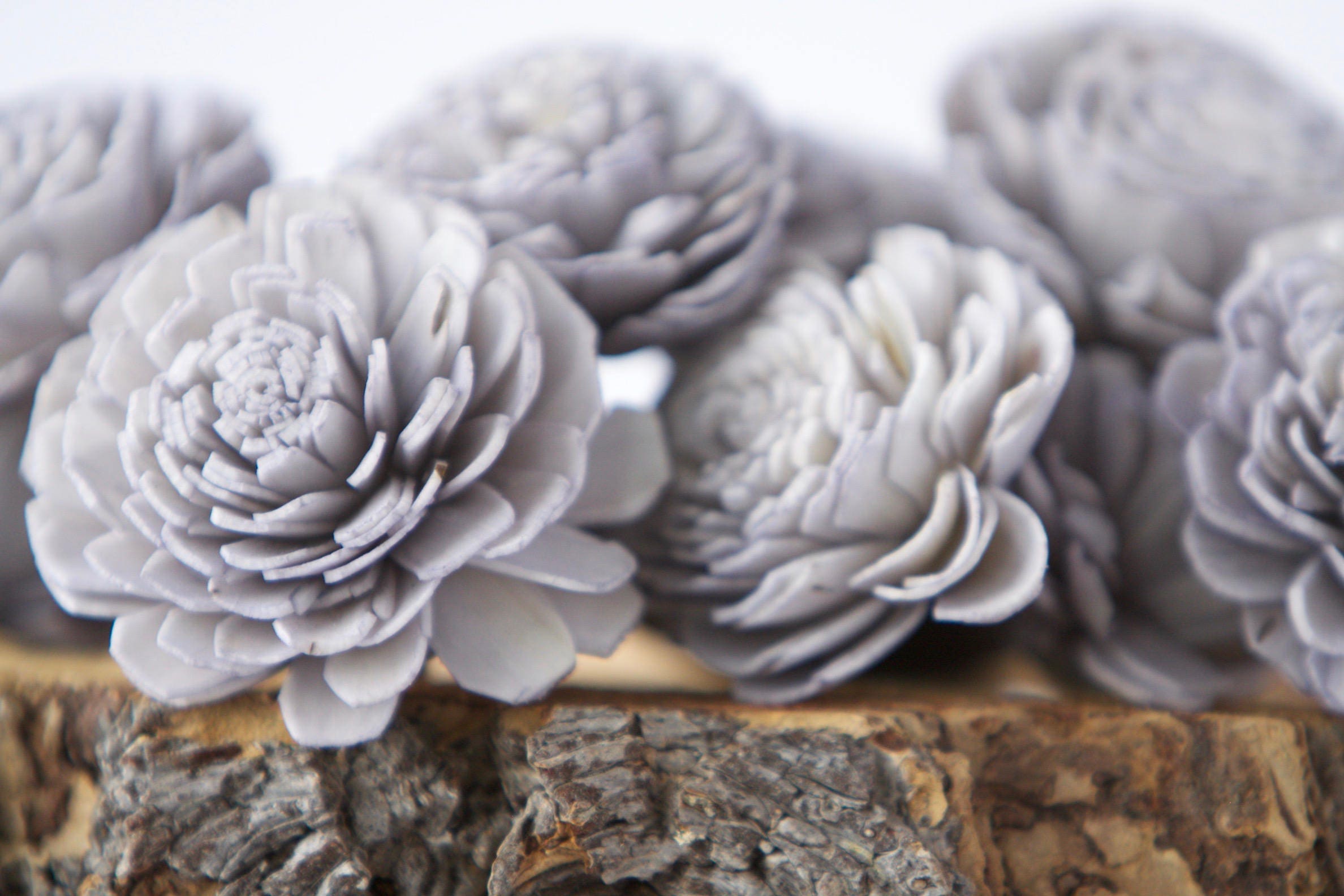 Grey Belly Sola Flowers SET OF 10 , Sola Flowers, Wood Sola Flowers