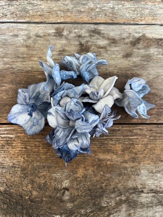 Steel Blue/Grey Star Magnolia Sola Flowers - SET OF 70