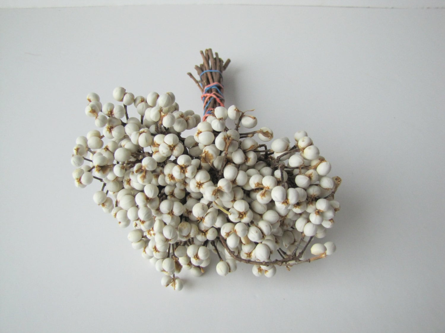 Dried Tallow Berry Imported