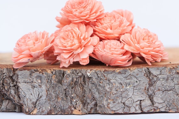 Coral Belly Sola Flowers - SET OF 40