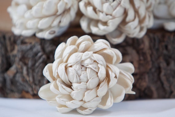 Football Mum Sola Flowers - SET OF 45 Flowers