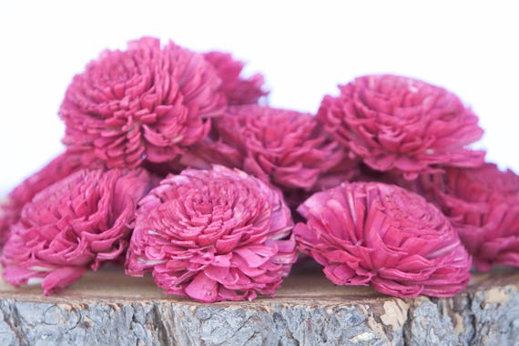 Red Large Chorki Sola Flowers - Set of 10