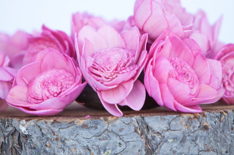 Camelia Sola Hot Pink Camellia Sola Flowers- SET OF 10 Hot Pink Sola Flowers Wedding DIY Crafting Flowers Wood Sola Flowers