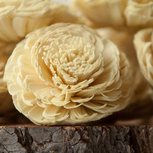 Pale Yellow Large Chorki Sola Flowers - Set of 10, Sola Flowers, Wood Sola Flowers