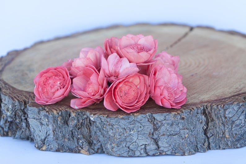 Watermelon Camellia Sola Flowers SET OF 10 , Sola Flowers, Wood Sola Flowers, Camelia Sola, Wedding DIY, Crafting Flowers image 2