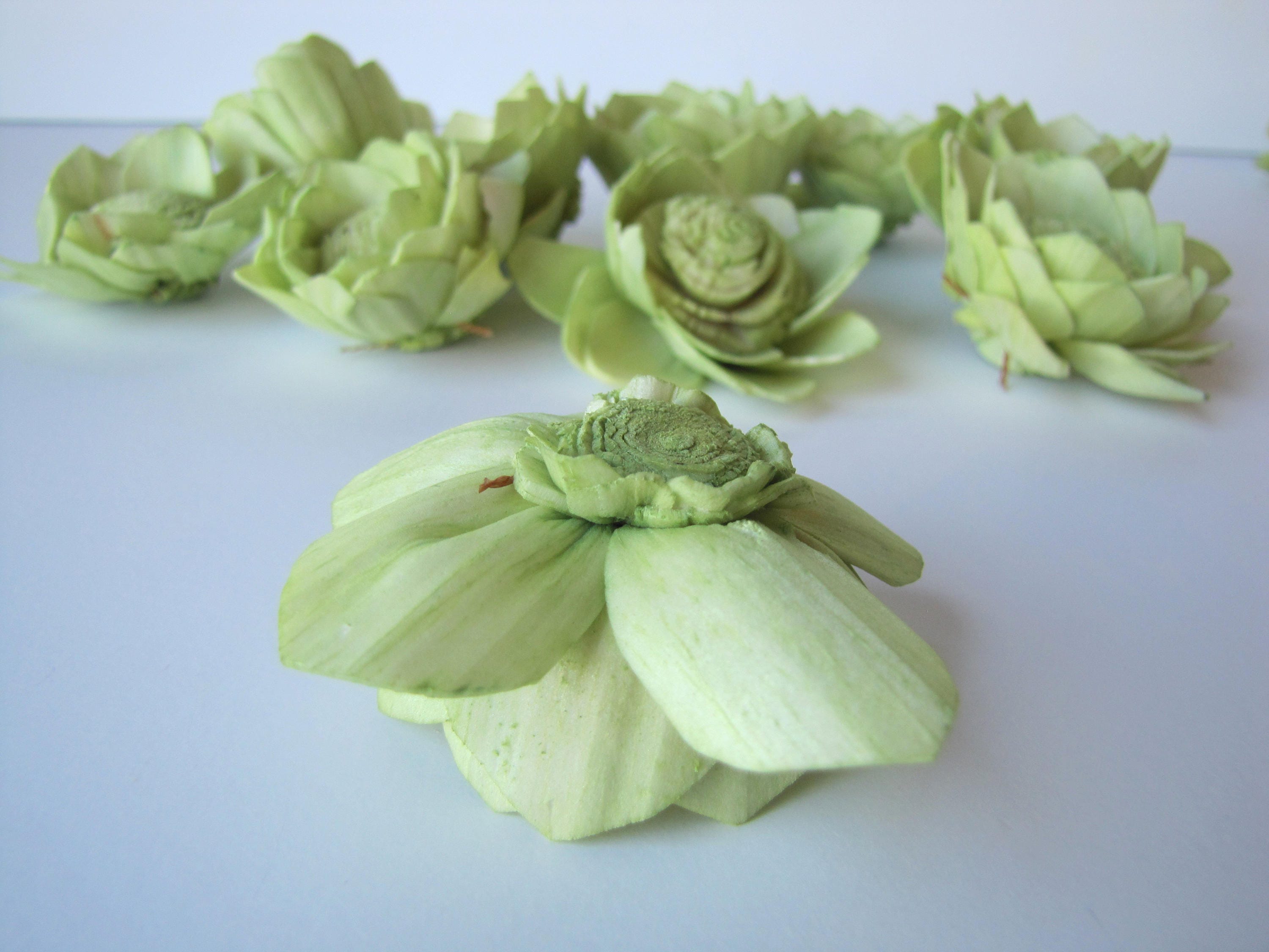 Green Camellia Sola Flowers SET OF 10 , Green Sola Flowers, Green Wood