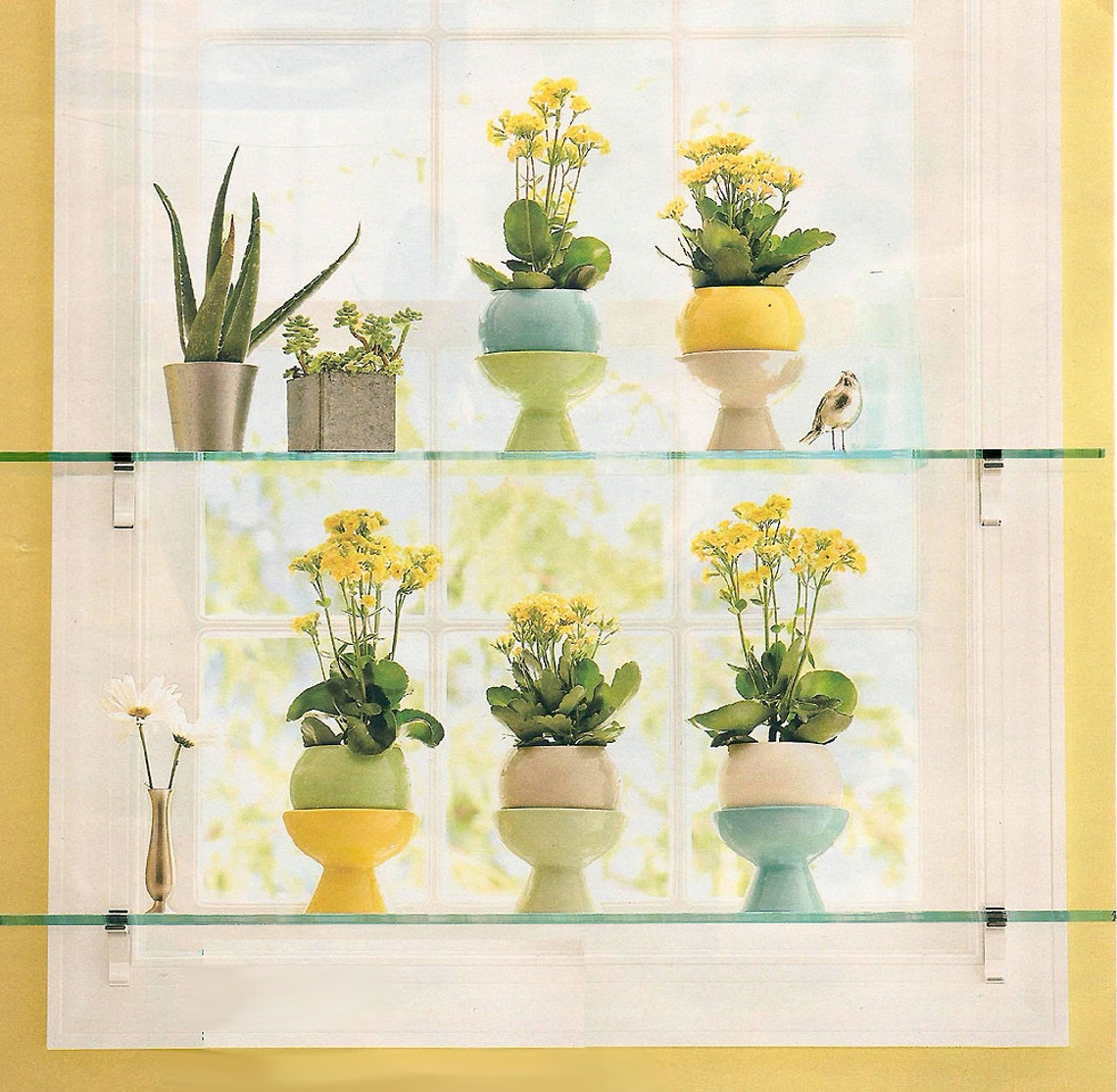 Shelf Clip Kit Chrome Etsy