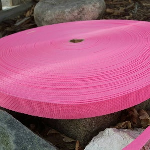 May include: A tightly wound roll of bright pink webbing, likely for crafting or outdoor use, rests on a bed of rocks and fallen leaves. The webbing is a solid, vibrant color, and the roll is centered in the frame.
