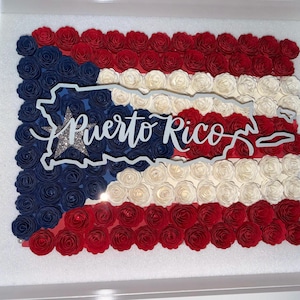 May include: A framed artwork featuring the flag of Puerto Rico, crafted from red, white, and blue paper roses. A white outline of the island and the words "Puerto Rico" are centered on the flag.