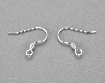 Stainless Steel Ear Wire (Pack of 10 Pair)