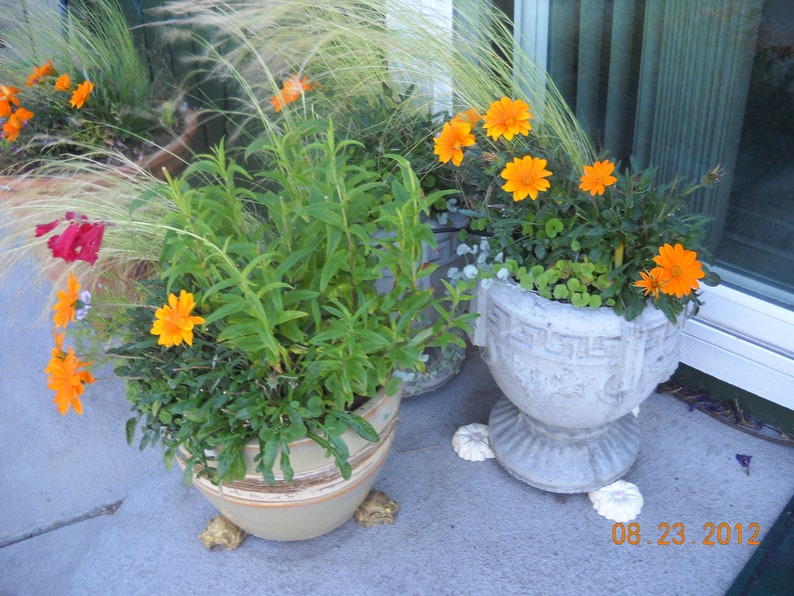 Home decor leaf pot feet Orange with green Metallic overlay Orange leaf planter feet patio decor Concrete planter feet Yard art