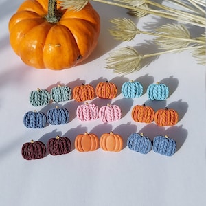 May include: An orange pumpkin and an assortment of miniature pumpkin-shaped decorations in various colors, including orange, pink, blue, and burgundy. The decorations have a textured, knitted appearance, perfect for fall-themed crafts or decor.
