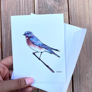 Bluebird Note Cards, Bird Note Cards, Art Note Cards, Bird Lover&#39;s Note Cards, Art Cards, Bird Stationery, Art Stationery