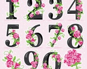 Il_170x135