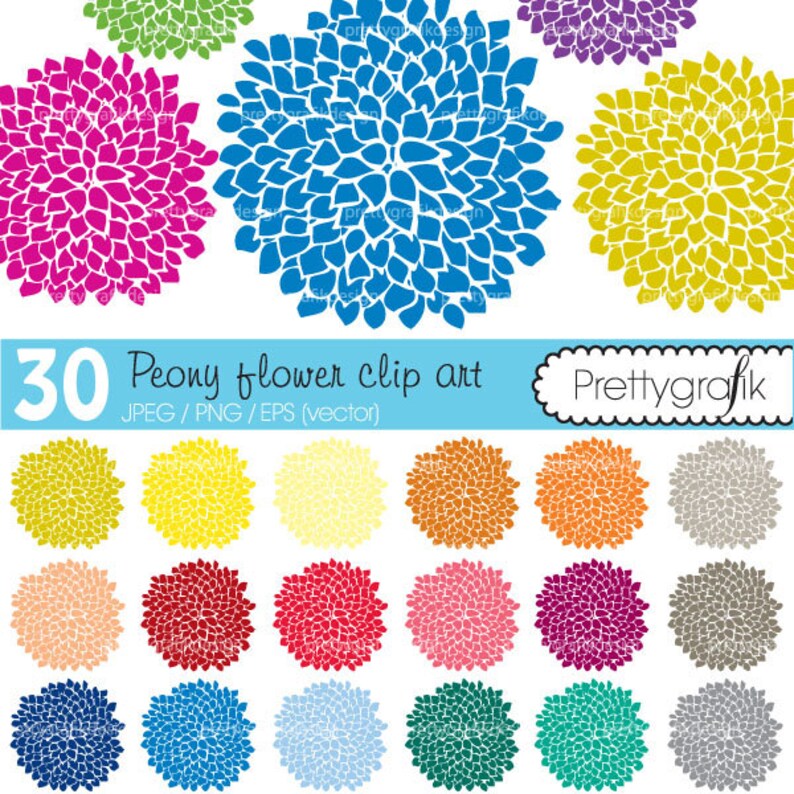 30 peony flower abstract clipart commercial use, vector graphics, digital clip art, digital images CL464 image 1