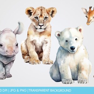 Zoo Animals watercolor, clipart, clipart commercial use, illustration, clip art, digital images GC0003 image 5