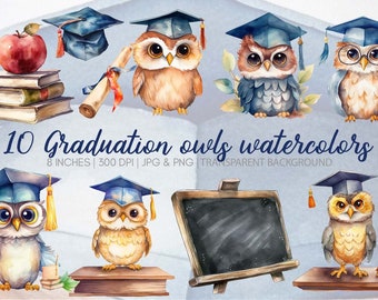 Graduation owls clipart watercolor, png, graphics, printable, commercial use, instant download