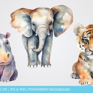 Zoo Animals watercolor, clipart, clipart commercial use, illustration, clip art, digital images GC0003 image 6