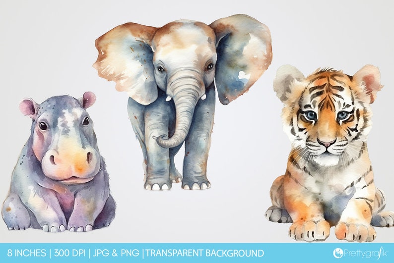 Zoo Animals watercolor, clipart, clipart commercial use, illustration, clip art, digital images GC0003 image 6