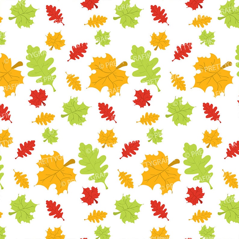 Fall harvest digital patterns, commercial use, scrapbook papers, background PS656 image 2