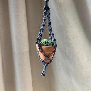May include: A small gray macrame plant hanger with a wooden ring at the top, holding a terracotta pot with a succulent plant.