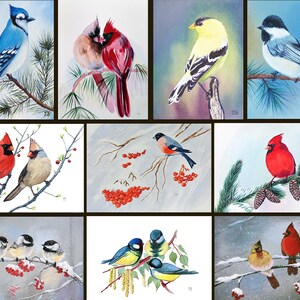 Oiseaux canadiens, lot de 10 cartes de voeux pour toutes les occasions - Illustrations par Tamara