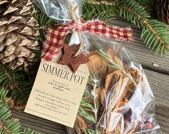 Winter Simmer Pot Mix, Apple Cinnamon Rosemary Simmering Potpourri, Cottage Core Aesthetic, Cozy Winter Home, Ready for gifting