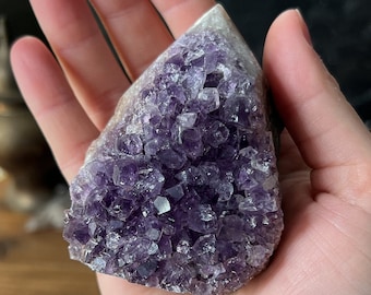 Brazilian Amethyst Crystal Cluster: Healing Druze Display