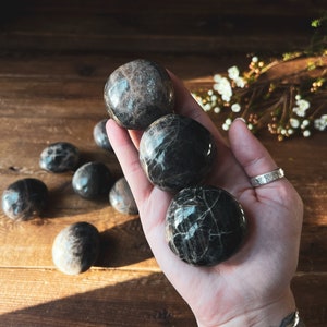 Black Moonstone Palm Stone, Protection Crystals, Black Moon Stone, Polished Black Moonstone Tumbled Stones, Healing Crystals, New Beginnings