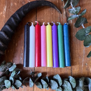 May include: A collection of seven colorful taper candles in a row, with a black candle on the left and a blue candle on the right. A black horn and green leaves are in the background. The candles are various colors, including white, red, pink, yellow, purple, and green.