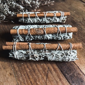 Cinnamon and White Sage Bundle 6", Dried Herbs, Ritual Tools, Energy Cleansing, Witchy Decor, Altar,