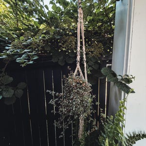 May include: A macrame plant hanger crafted from off-white cord, featuring decorative knots and integrated dark grey beads. The hanger supports a small potted plant with trailing green foliage, suspended from a black metal wall-mounted hook.