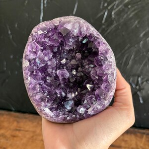 May include: A rounded amethyst geode featuring a deep, hollow center filled with numerous jagged, translucent purple crystal points. The exterior of the stone is smooth and light-colored, contrasting with the dark, vibrant violet interior.