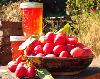 May include: A bowl of red crabapples with two jars of red jelly on a brick surface.