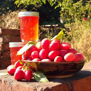 Crabapple jelly, 8 ounce jar, Dolgo crabapple jelly, small batch, handcrafted, Oregon/Pacific Northewest Made