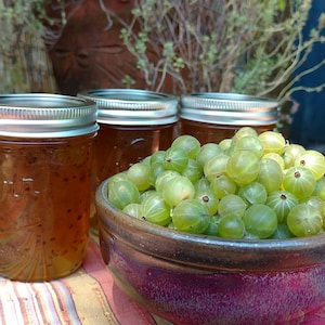 Gooseberry Jam, Small Batch, Naturally Grown, Hand picked, Oregon, Pacific Northwest