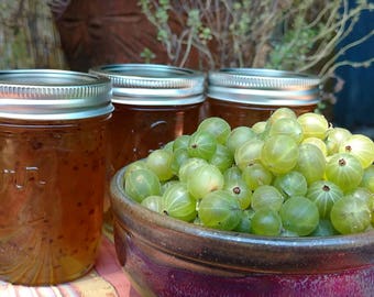 Gooseberry Jam, Small Batch, Naturally Grown, Hand picked, Oregon, Pacific Northwest