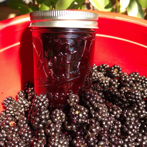 Country Blackberry Jam Etsy