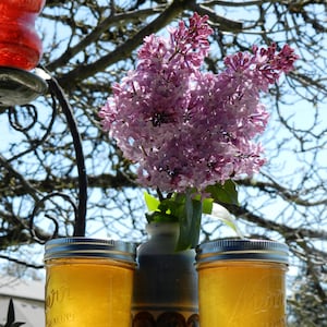 Lilac Jelly, 8 oz jar