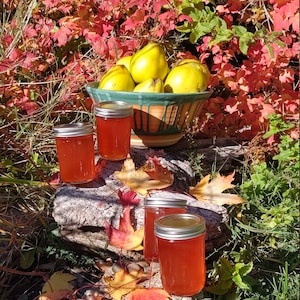 Quince jelly, Small batch, Oregon made, Pacific Northwest Jellies and Jams