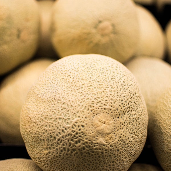 Hale's Best Cantaloupe seeds, sustainably grown melon seeds
