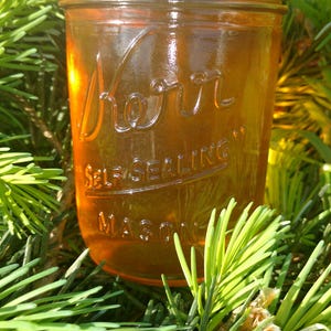 May include: A glass jar filled with a golden liquid, labeled "Kerr Self-Sealing Mason". The jar is surrounded by green pine needles.