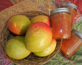 Mango jam, 8 oz jar, hand crafted, small batch,tart yet sweet